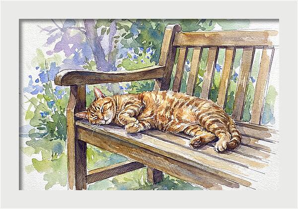 Sleeping Cat On A Bench