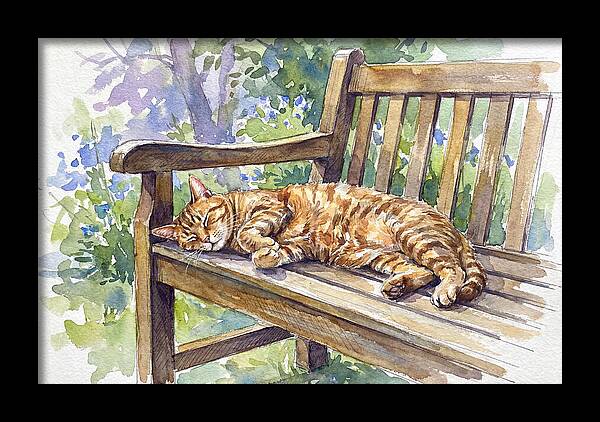 Sleeping Cat On A Bench