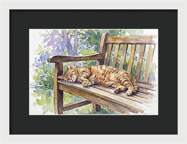 Sleeping Cat On A Bench