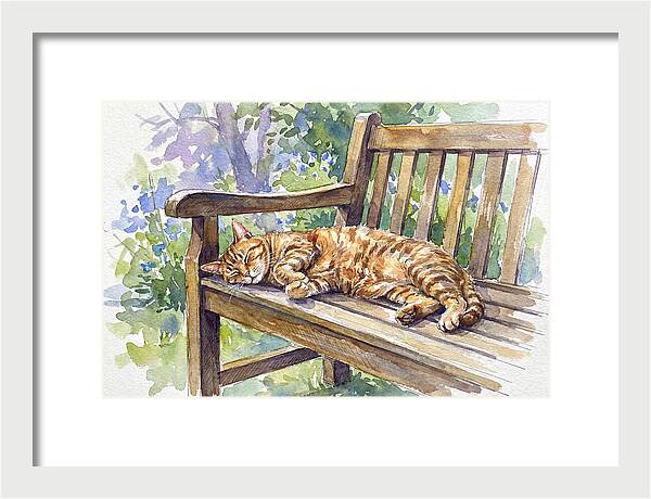 Sleeping Cat On A Bench
