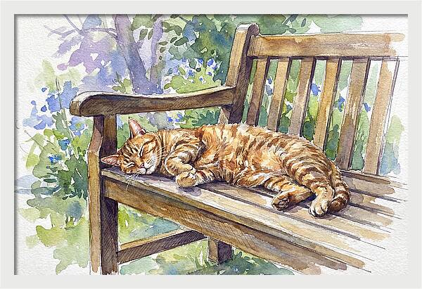 Sleeping Cat On A Bench