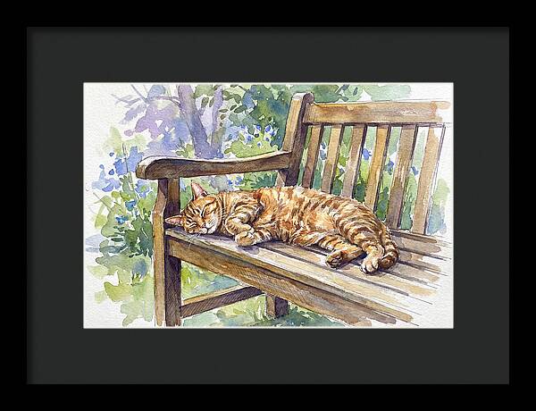 Sleeping Cat On A Bench