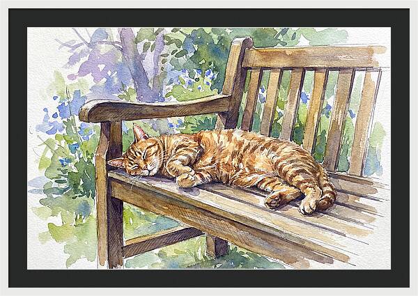 Sleeping Cat On A Bench