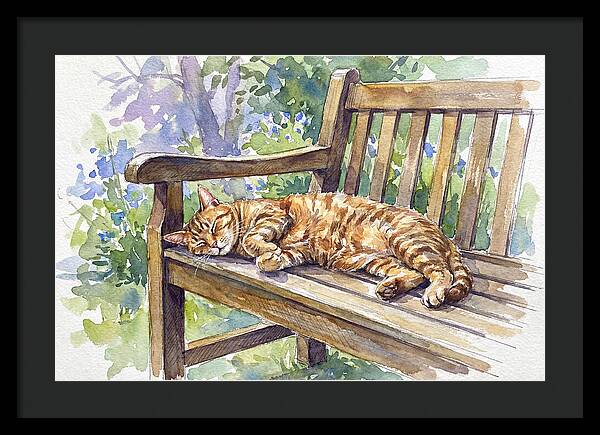 Sleeping Cat On A Bench