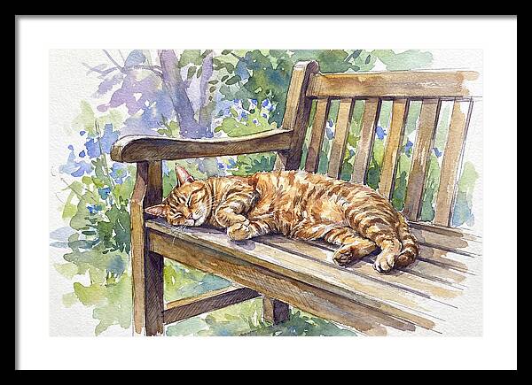 Sleeping Cat On A Bench