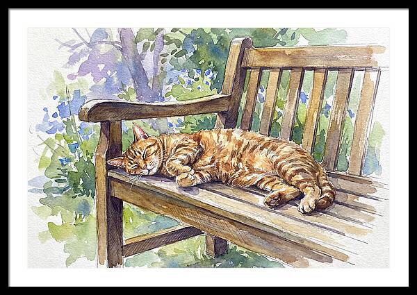 Sleeping Cat On A Bench