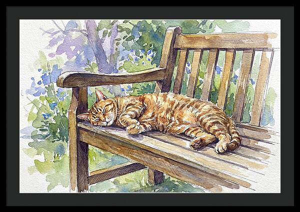 Sleeping Cat On A Bench