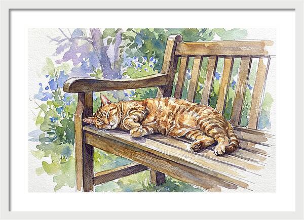 Sleeping Cat On A Bench