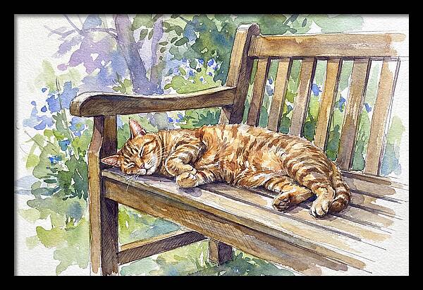 Sleeping Cat On A Bench