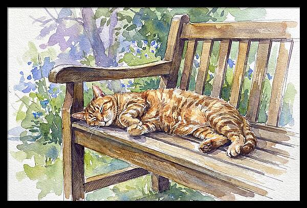 Sleeping Cat On A Bench