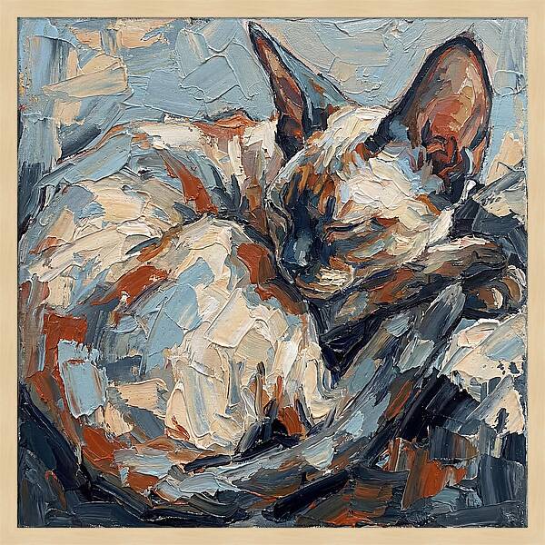 Sleeping Devon Rex Cat