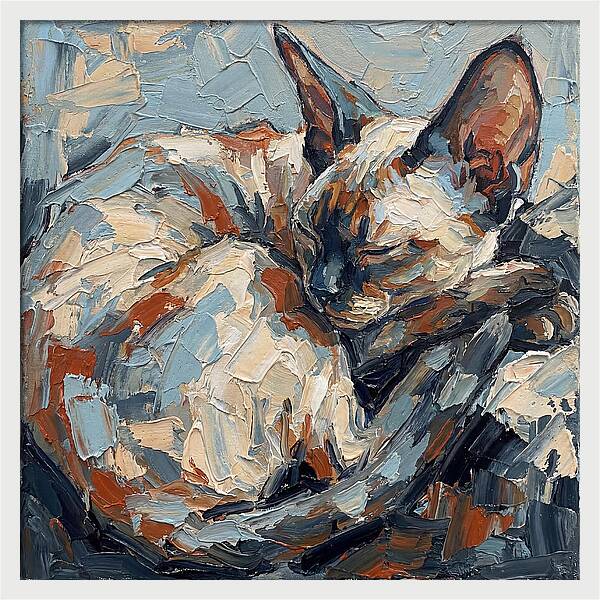 Sleeping Devon Rex Cat