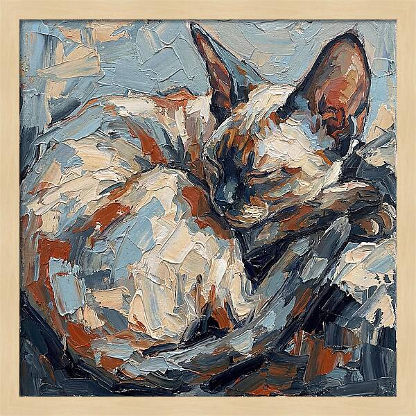 Sleeping Devon Rex Cat