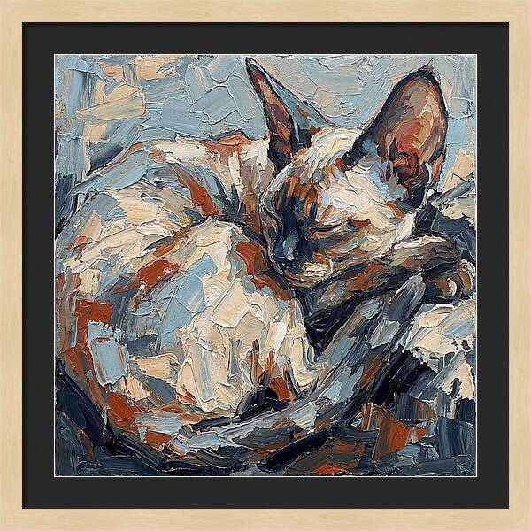 Sleeping Devon Rex Cat