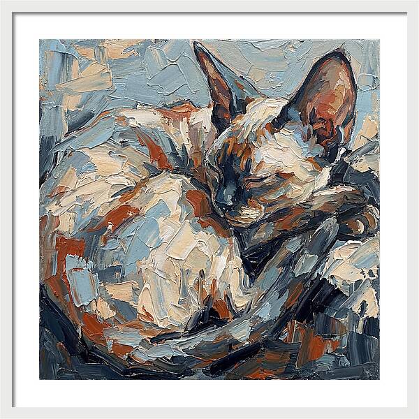Sleeping Devon Rex Cat