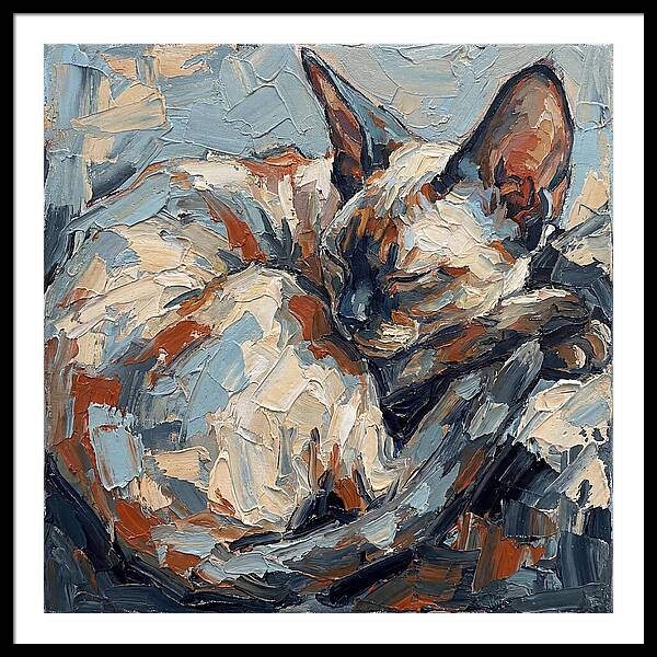 Sleeping Devon Rex Cat