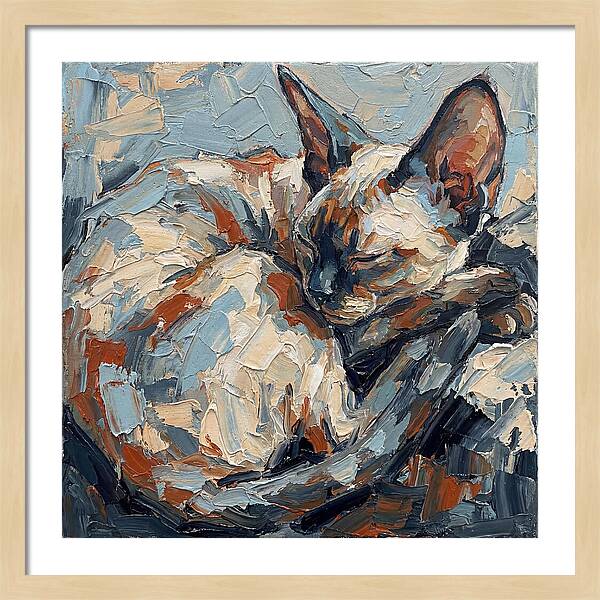 Sleeping Devon Rex Cat
