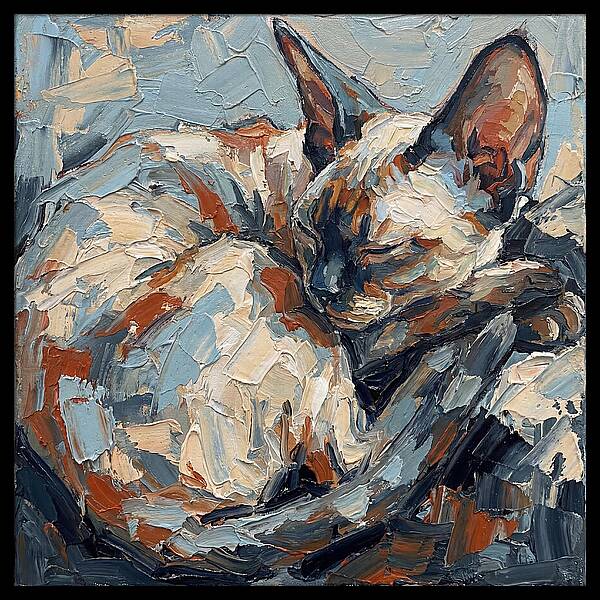 Sleeping Devon Rex Cat