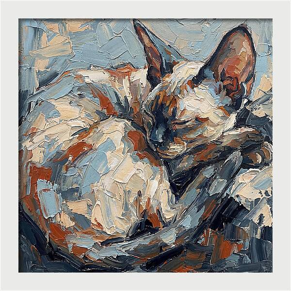 Sleeping Devon Rex Cat