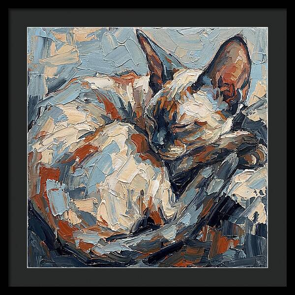 Sleeping Devon Rex Cat