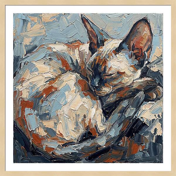 Sleeping Devon Rex Cat