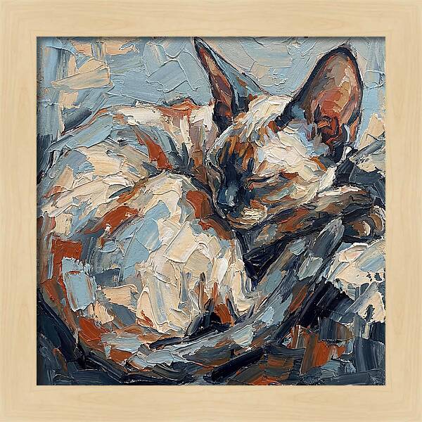 Sleeping Devon Rex Cat
