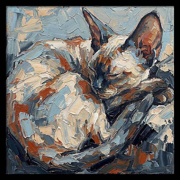 Sleeping Devon Rex Cat
