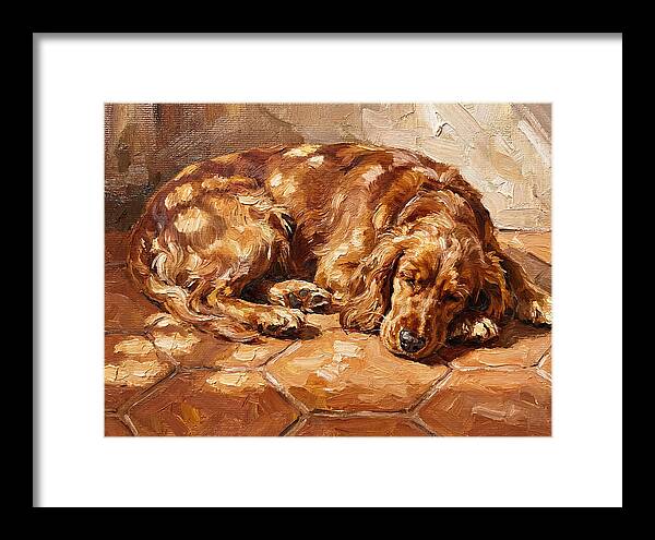 Sleeping Dog In The Sun