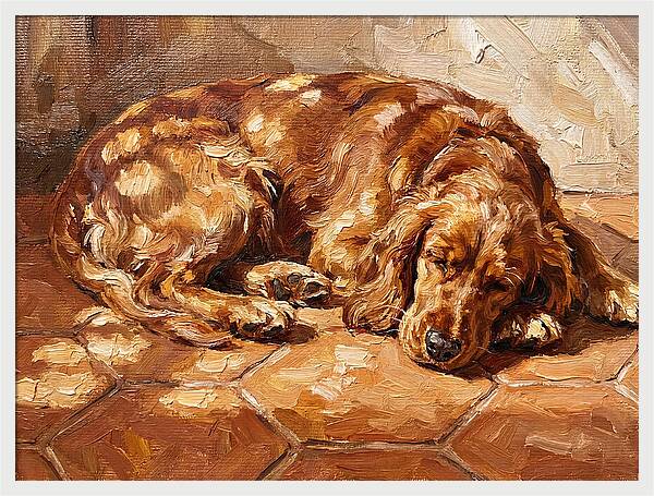 Sleeping Dog In The Sun