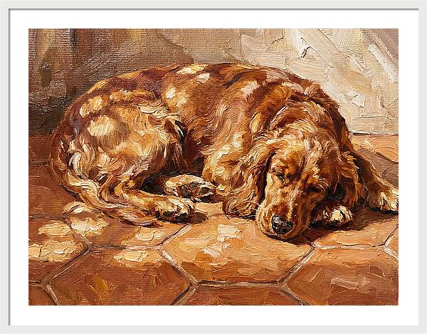 Sleeping Dog In The Sun