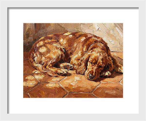 Sleeping Dog In The Sun