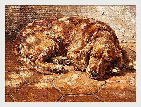 Sleeping Dog In The Sun