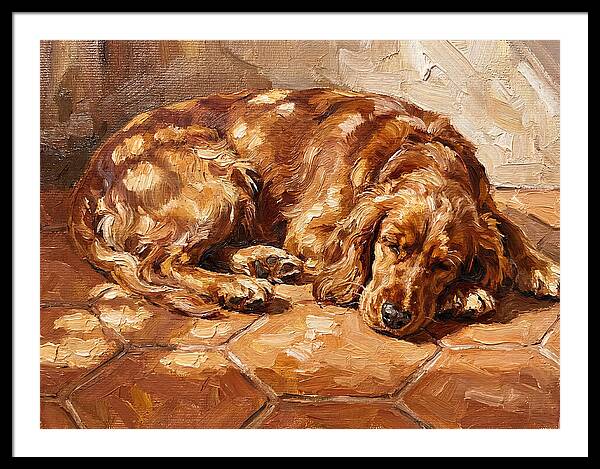 Sleeping Dog In The Sun