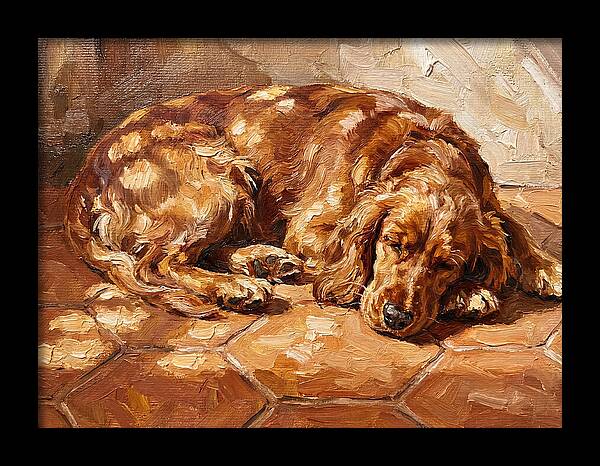 Sleeping Dog In The Sun