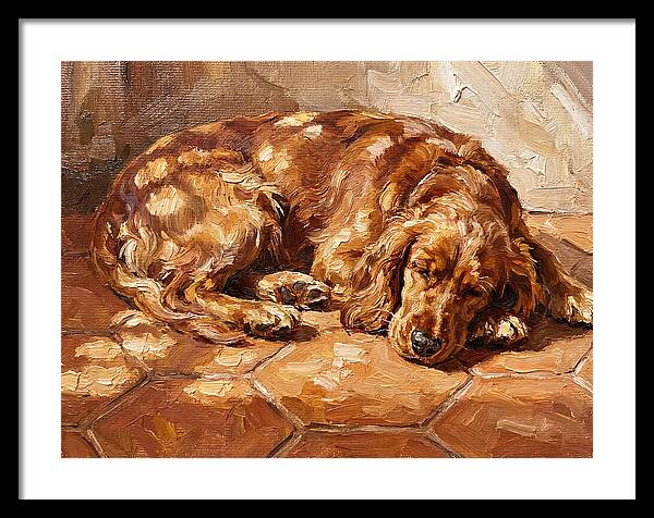 Sleeping Dog In The Sun
