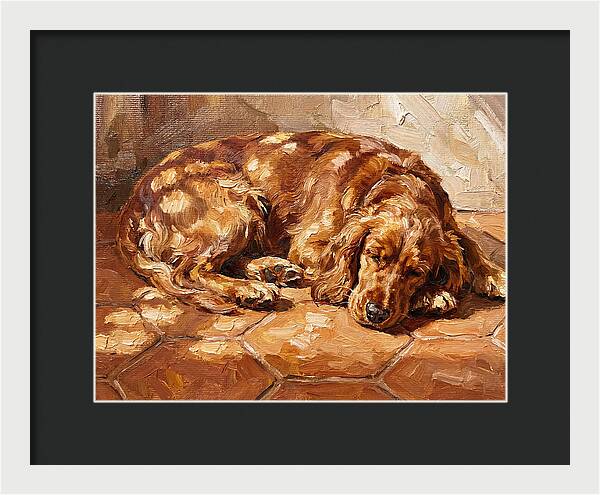 Sleeping Dog In The Sun