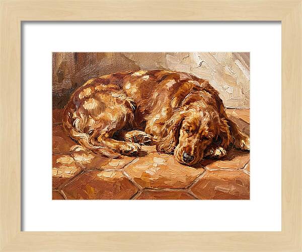 Sleeping Dog In The Sun