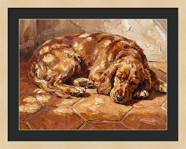 Sleeping Dog In The Sun