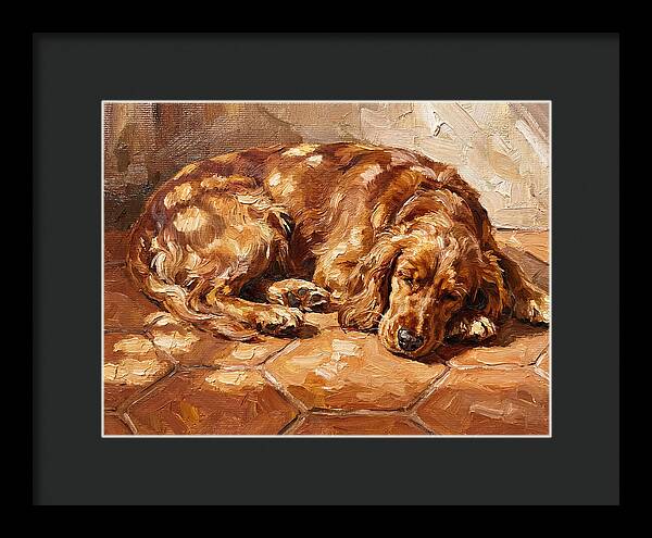 Sleeping Dog In The Sun