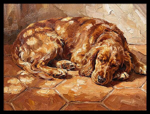 Sleeping Dog In The Sun