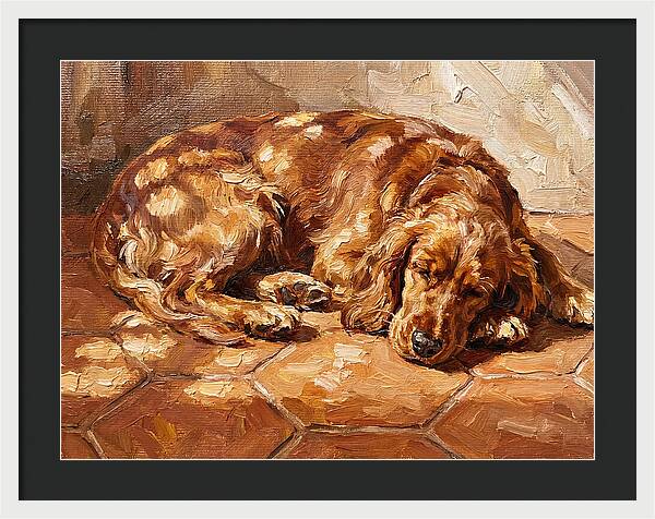 Sleeping Dog In The Sun