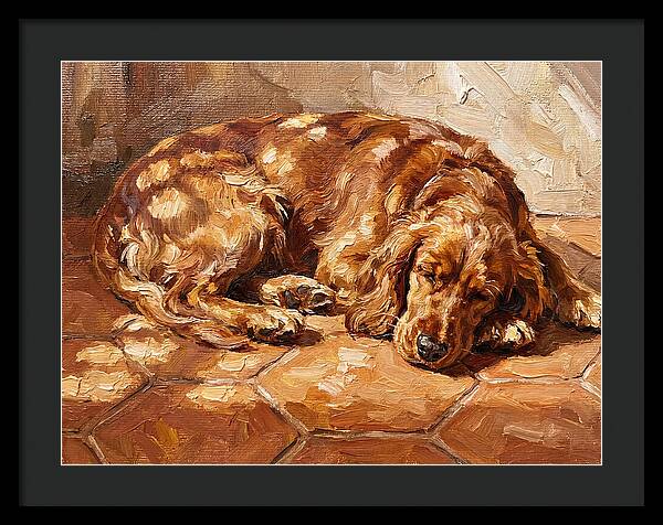 Sleeping Dog In The Sun