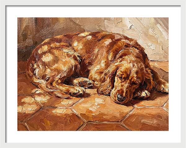 Sleeping Dog In The Sun