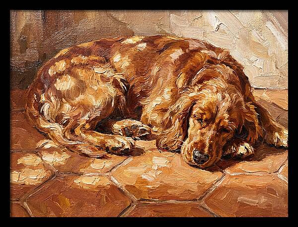 Sleeping Dog In The Sun