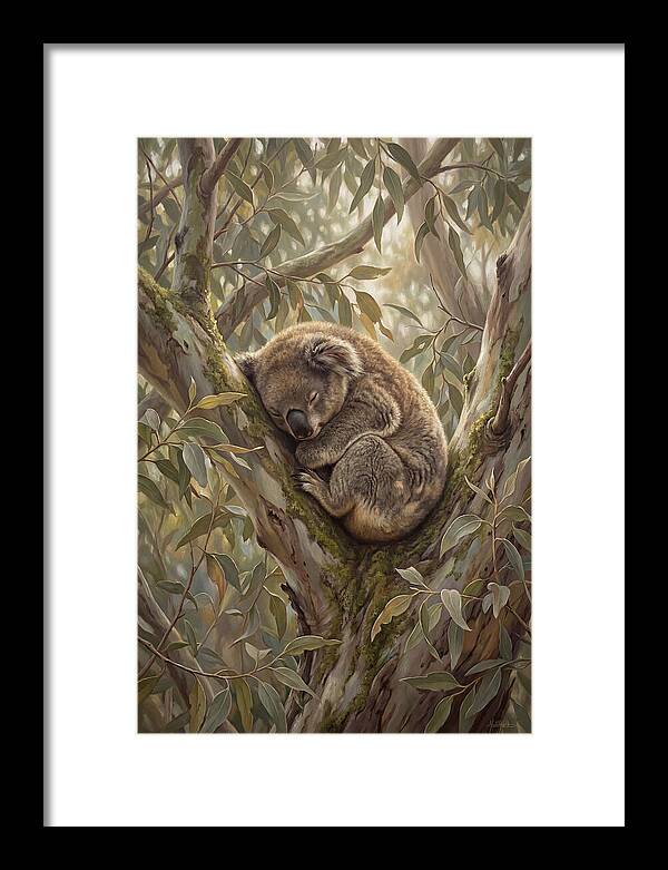 Sleeping Koala In Eucalyptus Tree