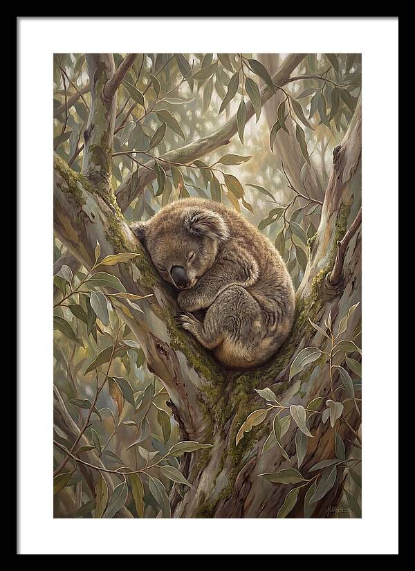 Sleeping Koala In Eucalyptus Tree