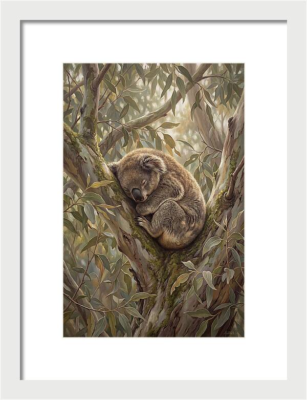 Sleeping Koala In Eucalyptus Tree