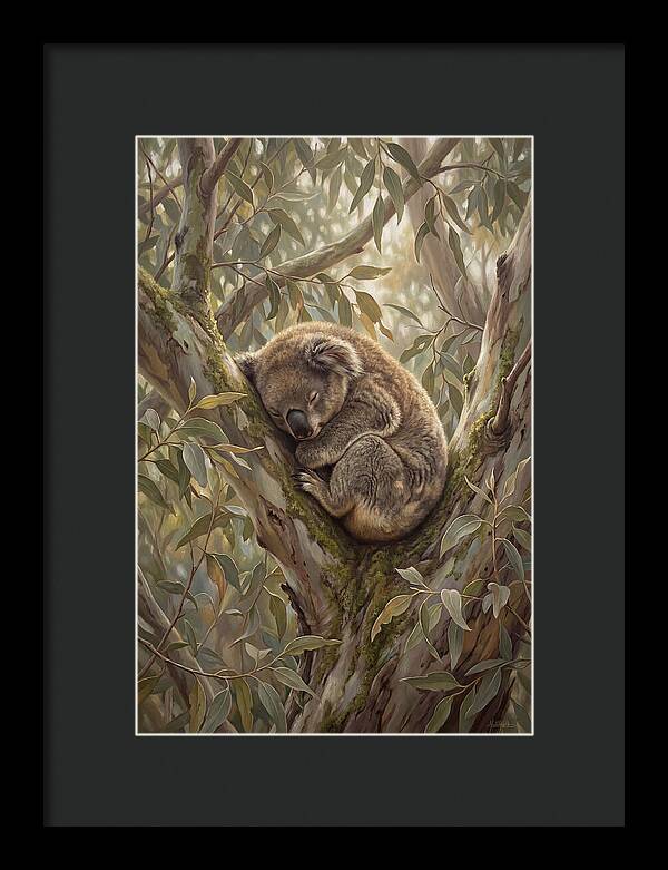 Sleeping Koala In Eucalyptus Tree