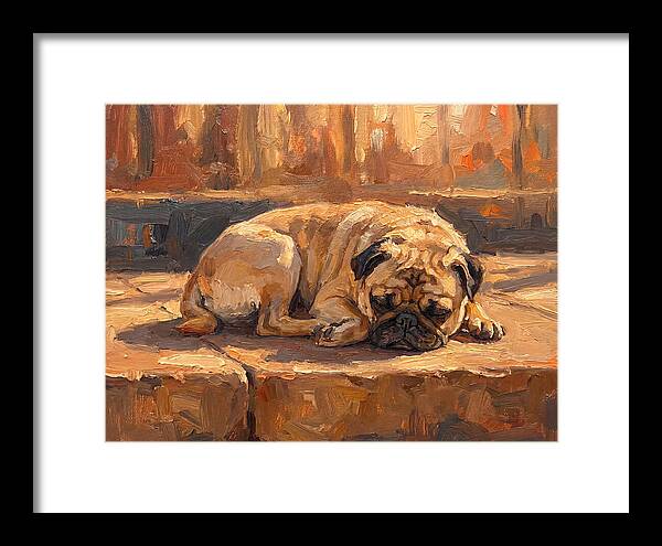 Sleeping Pug In The Sun