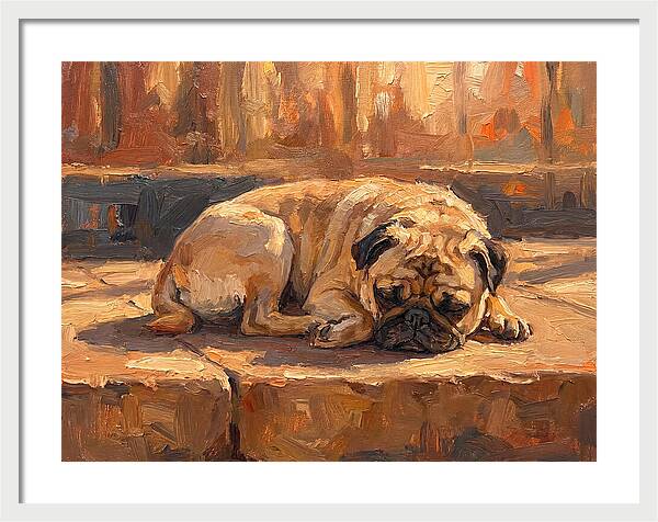 Sleeping Pug In The Sun